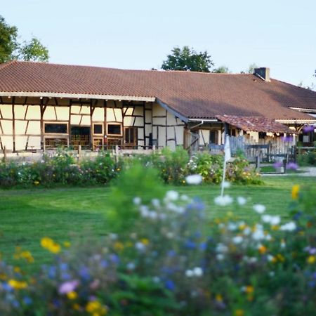 Bed and Breakfast Domaine Des Brouilles Malafretaz Exterior foto